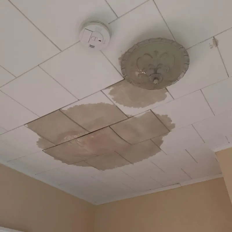 Ceiling Water Damage Repair in Columbia, TN