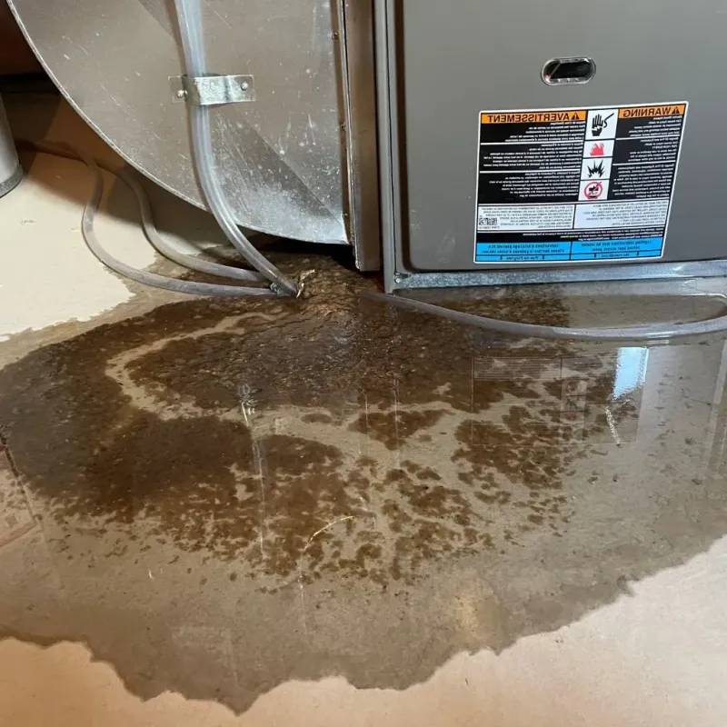 Pipe Burst and Leak Restoration in Columbia, TN