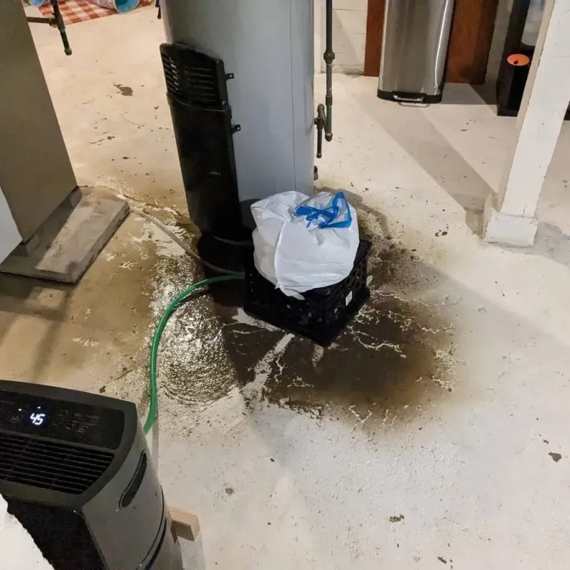 Sewage Backup Cleanup Service in Columbia, TN